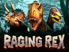 raging rex