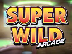 super wild arcade